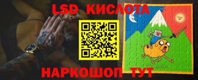 индика Заволжье