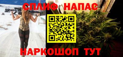 индика Заволжье