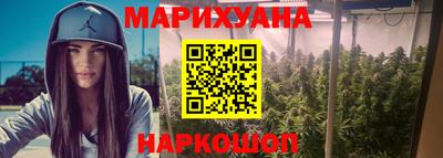 индика Заволжье