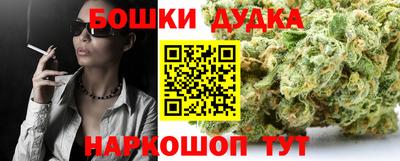 индика Заволжье