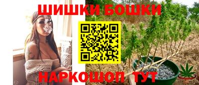 индика Заволжье