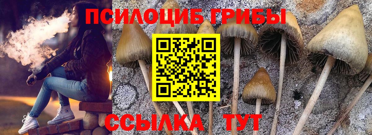 Галлюциногенные грибы GOLDEN TEACHER  Галлюциногенные грибы Psilocybe  Валуйки  Вход с VPN 